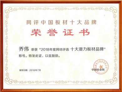 網(wǎng)評(píng)中國板材十大品牌榮譽(yù)證書